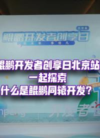 鯤鵬開發，如何成為產業升級的引擎？
