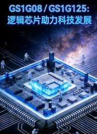 GS1G08 / GS1G125：邏輯芯片助力科技發展
