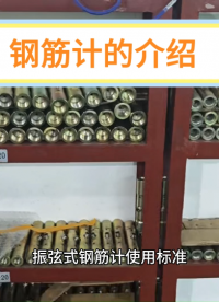 振弦式鋼筋計鋼筋測力計錨桿應力計鋼支撐錨桿軸力計支持無線采集# 傳感器
# 