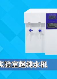 賽銳特-實驗室超純水機(jī)-提供技術(shù)指導(dǎo)#測試儀器 #檢測儀器廠家 #實驗室超純水機(jī) #儀器測試 