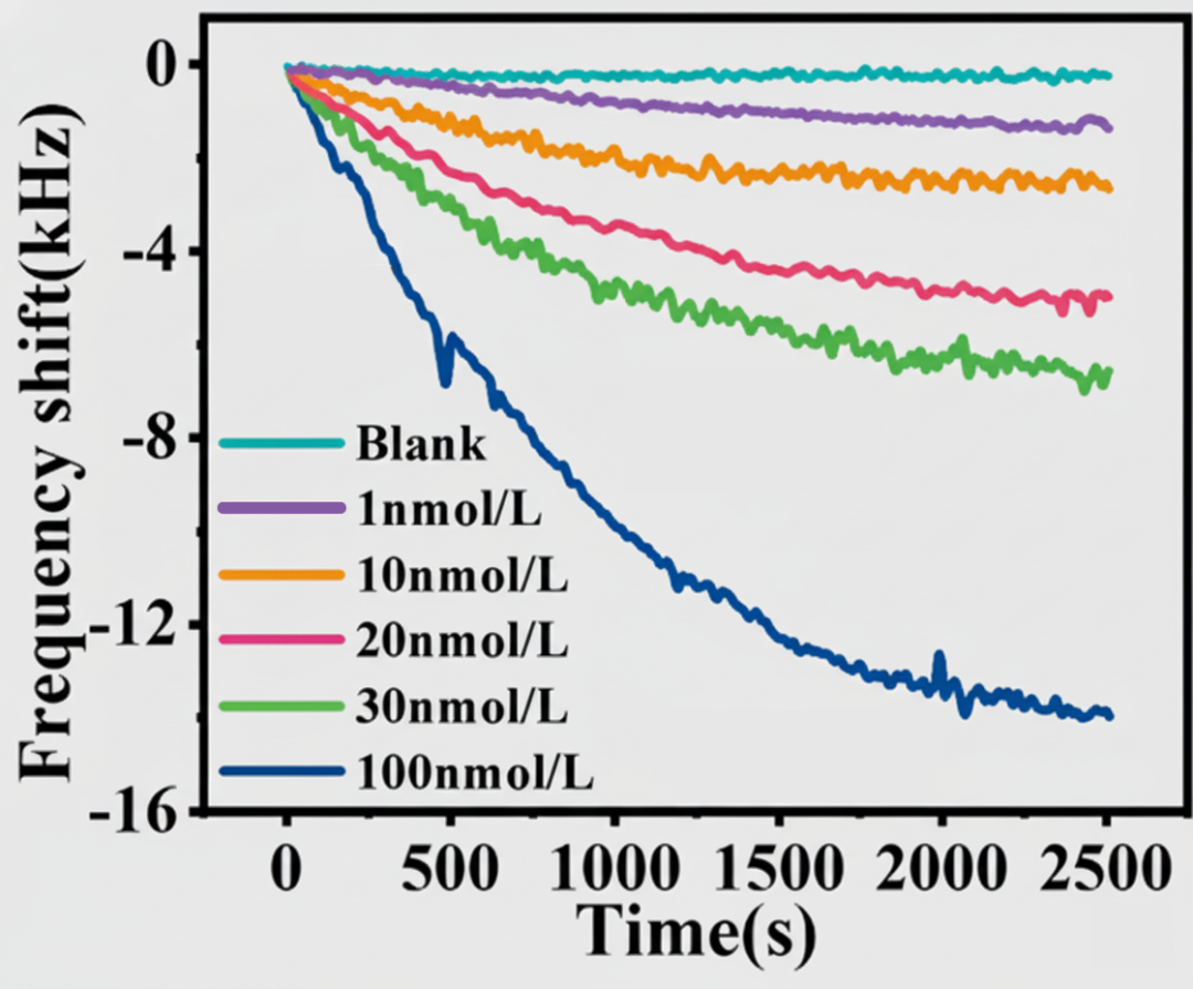 矢量网络分析仪