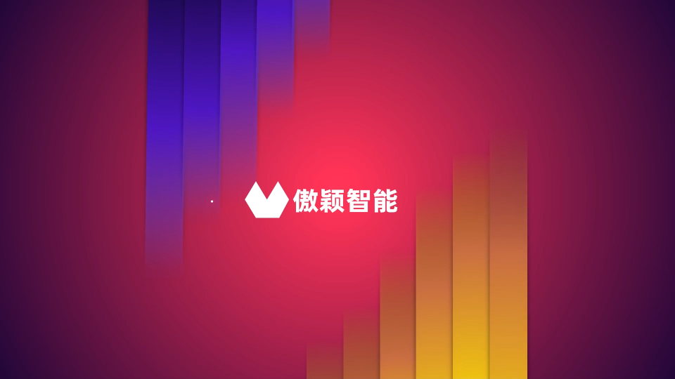 傲颖 AY-X15-无创血压电外科手术干扰测量工装YY 9706.230-产品展示