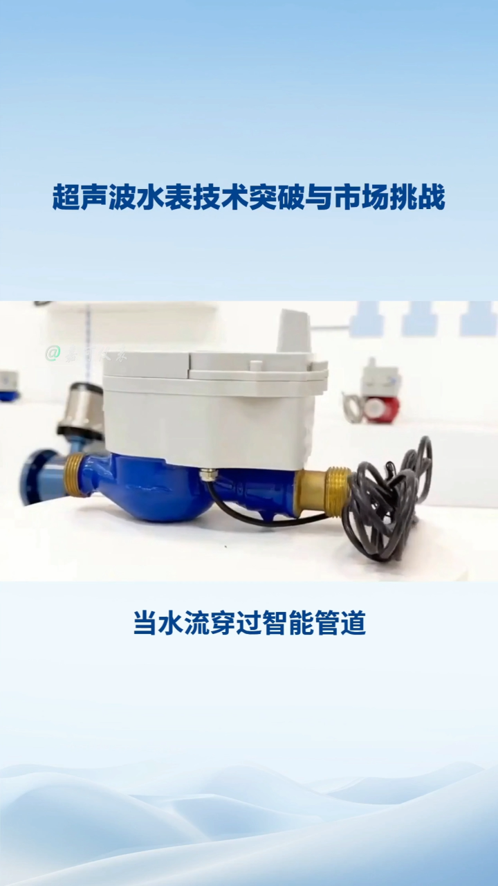 超聲波水表技術突破與市場挑戰(zhàn)#農(nóng)業(yè)物聯(lián)網(wǎng) #?？粕?#plc教學 #警車燈電路 #溶氧儀校準 #智慧能源 