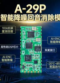 A29P AI 智能降噪回音消除模組# 回音消除#智能降噪# 