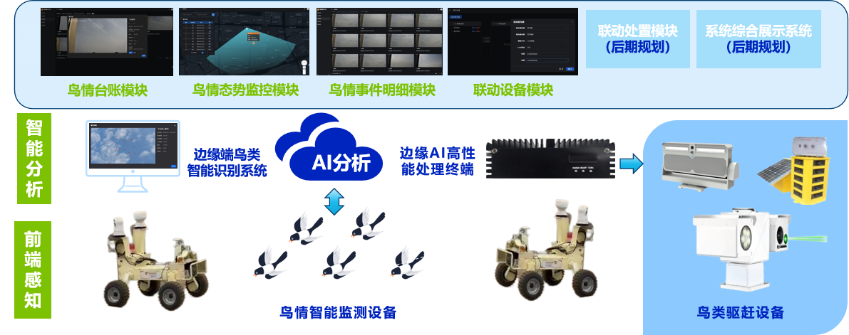 95%识别率！图为科技AI鸟情识别系统，全天候守护机场安全