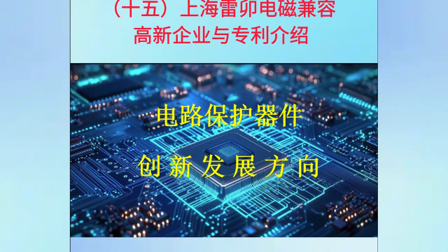 15上海雷卯電磁兼容高新企業(yè)與專利介紹