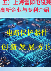 15上海雷卯電磁兼容高新企業(yè)與專利介紹