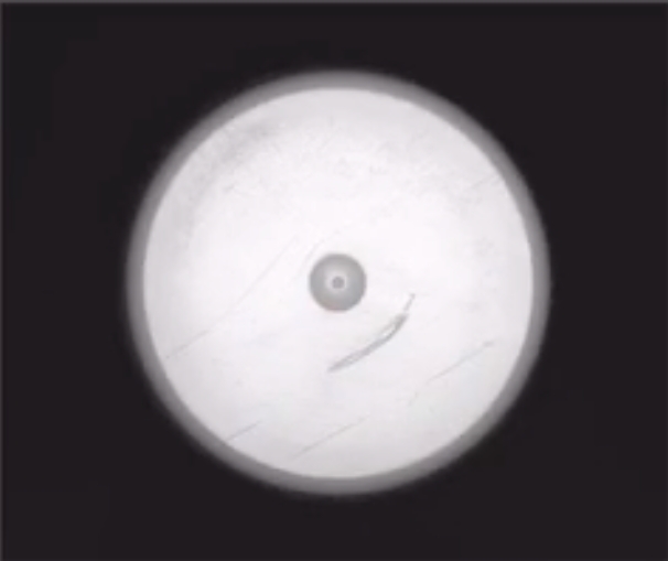 wKgZPGlgt_aAURWuAADI668fg8U817.png