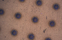 班通科技：Bamtone K系列盲<b class='flag-5'>孔</b>顯微鏡助力洞察PCB微觀形貌