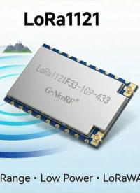2W大功率LR1121通信模塊 支持Sub-ghz和1.9/2.4Ghz#LoRa模塊 #無線通信 