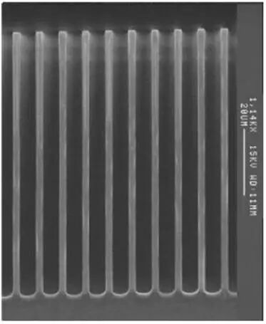bb47259c-ef9f-11f0-92de-92fbcf53809c.jpg