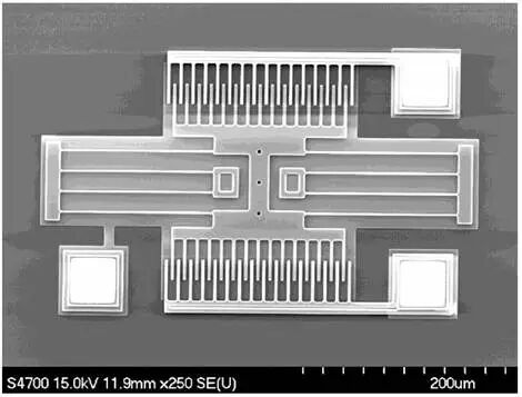 ba97e618-ef9f-11f0-92de-92fbcf53809c.jpg