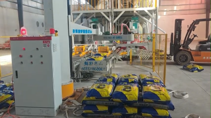 長久的回報遠大于一時的支出肥料飼料碼垛機器人