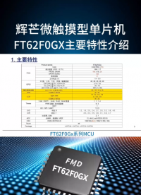 輝芒微觸摸型單片機(jī)FT62F0GX主要特性介紹