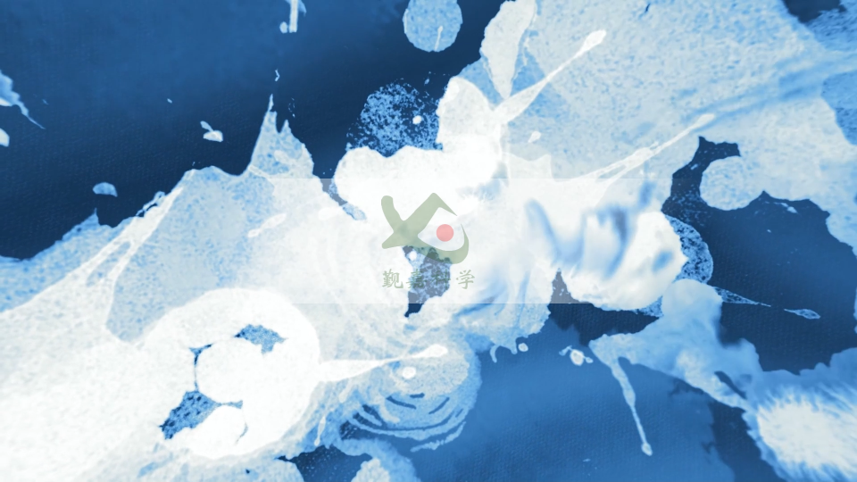 覲嘉 JJ-241G-水平垂直燃燒測試儀（高配版）GB-T2408-2008-品質(zhì)優(yōu)良