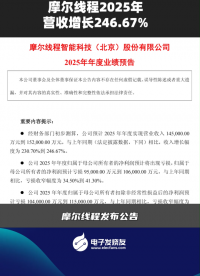 摩爾線程2025 年營收增長246.67%