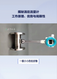 渦街流量計工作原理、優勢與局限性#農業物聯網 #專科生 #plc教學 #警車燈電路 #溶氧儀校準 #智慧能源 