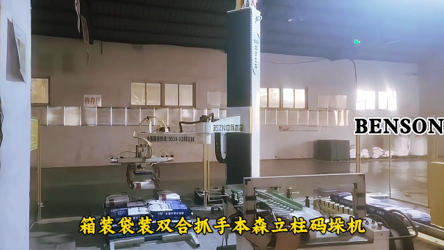 碼垛機器排名大洗牌 袋裝箱裝雙合抓手本森立柱碼垛機#碼垛機器人
 