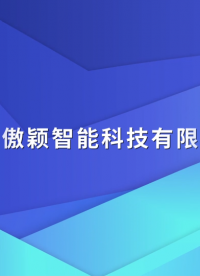 傲穎-電腦版拉力機(jī)（頂破儀）GB8687 GB/T3923.1/2-滿足行業(yè)標(biāo)準(zhǔn)