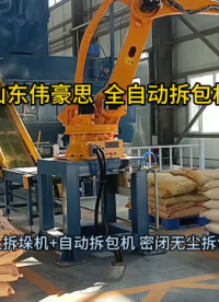 硅粉機械手破袋機 全自動拆包機器人流程 山東偉豪思