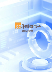 不到1分鐘，帶你了解HVDC、UPS、BBU三者之間的區(qū)別# #芯片  #服務(wù)器  #電子元器件 