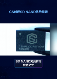 解析SD NAND獨特之處：CS品牌存儲產(chǎn)品的卓越表現(xiàn)#硬件 #人工智能 #硬件工程師 #電路原理 #存儲 