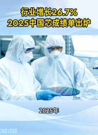 行業(yè)增長26.7%！2025中國芯成績單出爐#集成電路#權(quán)威數(shù)據(jù)#中國芯
 