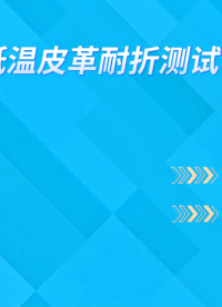 誠衛(wèi) CW-501GD 低溫皮革耐折測試儀 GB/T20991-2007 質(zhì)量保證
