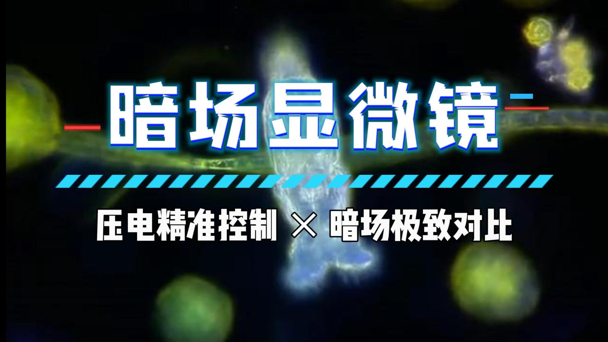 告別染色！看透明生命在暗場(chǎng)顯微鏡下發(fā)光 #暗場(chǎng)顯微鏡 #物鏡定位器 #芯明天 #壓電
 