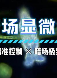 告別染色！看透明生命在暗場(chǎng)顯微鏡下發(fā)光 #暗場(chǎng)顯微鏡 #物鏡定位器 #芯明天 #壓電
 