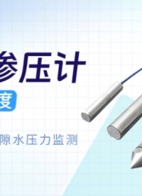 振弦滲壓計 水工與土體孔隙水壓力監(jiān)測 水壓與溫度