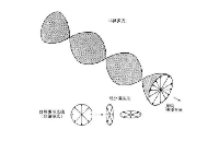 <b class='flag-5'>偏振鏡</b>的原理