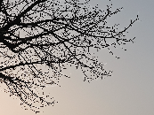 硬件工程師必備！晶振術(shù)語中英文<b class='flag-5'>對照</b>速查表，收藏這一篇就夠了