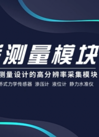 電橋測量模塊：支持雙驅(qū)動與多接口輸出 適用于比例與固定電橋