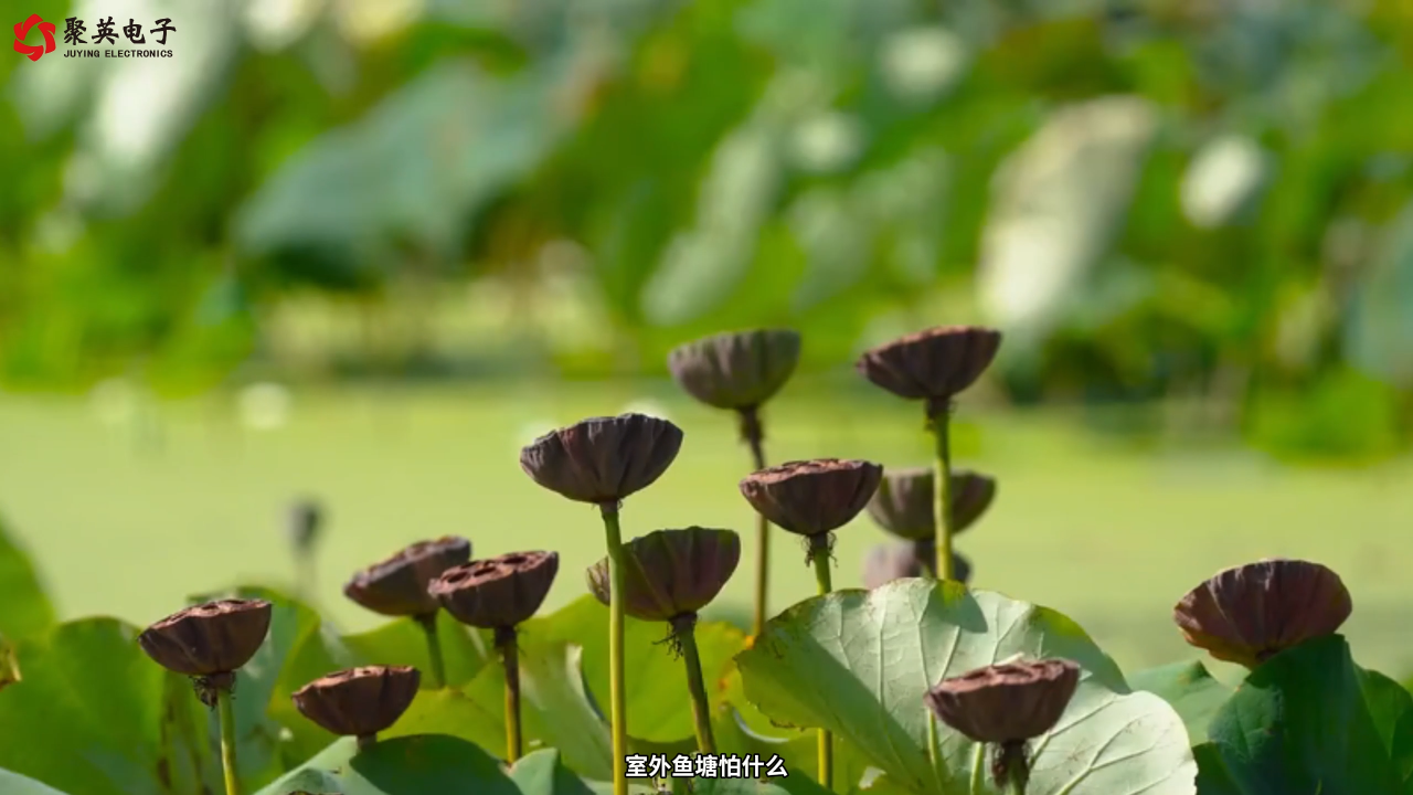 戶外養魚蝦怕水質突變？這款采集器24小時監控 #農業物聯網 #plc #物聯網 