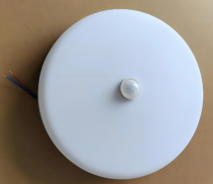 郎特科技 LED 吸顶灯：从感应类型到功率的选型攻略！