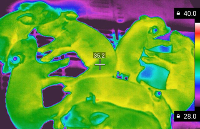 紅外熱成像技術(shù)：革新牲畜測溫，引領(lǐng)<b class='flag-5'>智慧</b><b class='flag-5'>養(yǎng)殖</b>新范式
