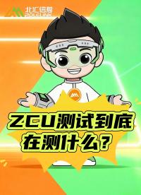 ZCU測試到底在測什么？從軟件到實車一次講清#ZCU #區域控制器 