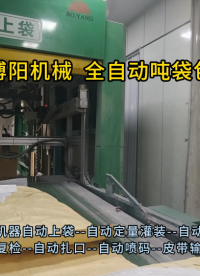 碳酸鈉連續(xù)噸袋包裝系統(tǒng)優(yōu)勢展示 智能噸袋包裝設備加工定制#機械制造 #自動包裝機
 
