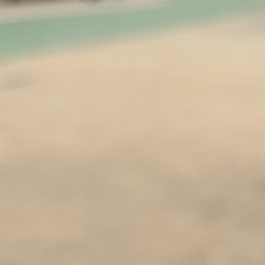 暫時不想有名字