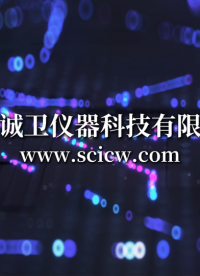 誠衛(wèi) CW-BS002 汽車安全帶卷收器緊急鎖止試驗儀 GB 27887-2011 售后完善