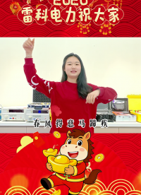 2026，雷科電力祝大家馬到成功萬事成！#新年開工大吉##馬到成功# #電力檢測設(shè)備 #電力測試設(shè)備

  