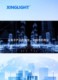 XINGLIGHT 成興光電子#電子diy #LED 