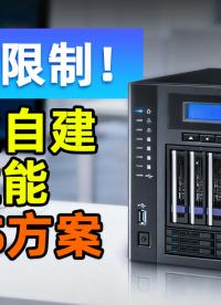 為什么懂行的都在手搓NAS？全閃分層+熱插拔，成品給不了的自由度 #NAS 
#DIY電腦
 
