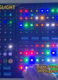 XINGLIGHT 成興光 插件燈珠#LED ##物聯(lián)網(wǎng) #pcb設(shè)計(jì) #電子愛好者 #電子制作 