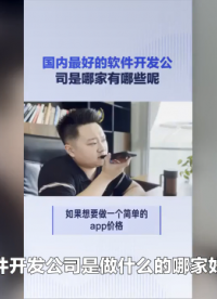 系統(tǒng)軟件開(kāi)發(fā)公司是做什么的哪家好呢