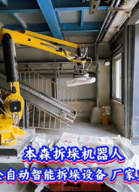 本森拆垛機器人 全自動智能拆垛設備 廠家直供#拆垛機器人
 