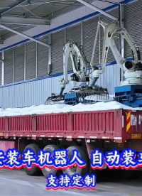 泰安裝車機器人 自動裝車機 支持定制#裝車機器人
 