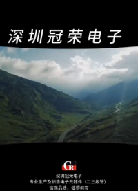 2EZ6.2D5穩(wěn)壓二極管:2W功率車載電子線路穩(wěn)壓保護(hù)#二極管# 