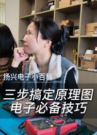 三步搞定復(fù)雜原理圖，電子入門必備實(shí)用技巧
 #電子 #科普 #電子愛好者 #晶振 #揚(yáng)興科技 